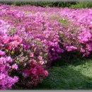 지리산휴게소 이미지