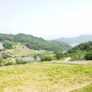 하이마로 이미지