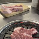 신서로 | 제주도 서귀포 문치비 흑돼지 내돈내산 솔직후기