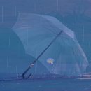 雨酒場 - 藤あや子 이미지