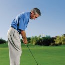 Fun 골프 이미지