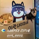 시바카야라카세 | [상수역 맛집_시바카야 라카세] 귀여운 시바와 맛있는 안주도 함께