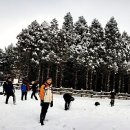 물영아리오름 이미지