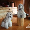 달빛산장 이미지