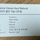 아술(AZUL) | [스페셜티, 핸드드립] 코스타리카 볼칸 아술 커피 후기