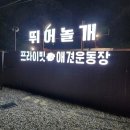 행복 애견방 네이버블로그