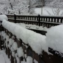 첫눈에평창 이미지