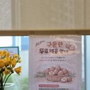 동탄호수공원스터디카페 찾다가 정착한 엘에스이 스터디카페 후기