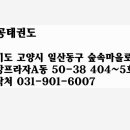 주공태권도