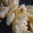 국제대학교 이미지