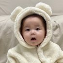 베베곰