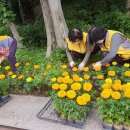 덕포2동 행정복지센터 이미지