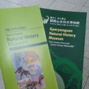 계룡산자연사박물관 | 계룡산 자연사박물관 탐방후기입니다