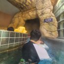 (유)유수산업 | 전북 부안여행 2-3일차 소노벨변산 아기랑 2박3일여행코스