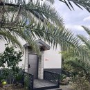 노을정원 | [제주펜션추천] 협재근처 노을빛이 머무는 제주 &#39;노을정원풀빌라&#39; 내돈내산 제주여행후기