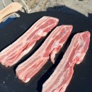 동백항 | 부산캠핑 , 기장 노지캠핑 , 동백항 후기