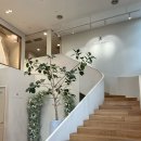 지정 | 제시카로렌 촬영가봉 지정 방문 후기(지정 방문 혜택)