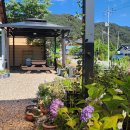 숲속힐링민박 이미지