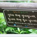 네파도봉산