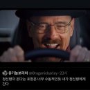 (주)모모스