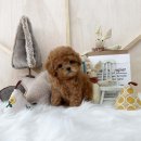 블리독(동대문장안점) 이미지