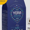 성우씨엔티 주식회사 이미지