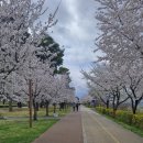 대평동_금강변길 이미지