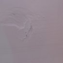 자동차피부과 이미지