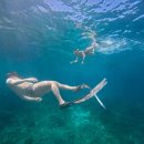 한남여객운수(주) | 3월도 잘 놀았습니다람쥐