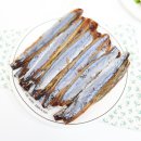 포항유니수산