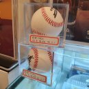 엘리스 | [경기도 성남] 가성비 최고 오리역 카페 카페엘리스 | 솔직후기