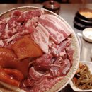 신부산갈매기 이미지