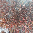 프롭테라피&밴드운동 이미지