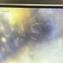 상오정로 이미지