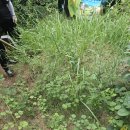 행정사무소 호우(好友) | 2026년 벽제리 묘지 이장 (지원금 40만원 선착순)