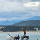 힐링의 바다 이미지