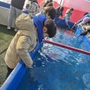 MTA 여명태권도장 이미지