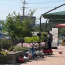 사천냉면 이미지