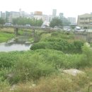 산본천 티스토리