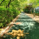 식골공원 화장실 네이버블로그