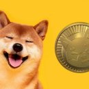 하나이누 이미지