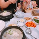 닭올닭 이미지