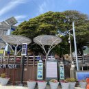 저동 여객선 터미널 옆 이미지