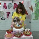 황제애견 이미지