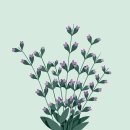 영종대로 이미지