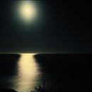 월광(Moon Light) Daum카페