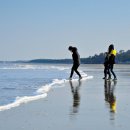 대광펜션 이미지