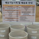 [경기도/용인] 용인 가볼만한 곳 용인화훼단지 에르베플라워아울렛 솔직 후기
