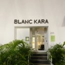블랑비치 | 미국 마이애미 여행 호텔 후기 - 마이애미 비치 가까운 가성비 호텔 블랑 카라 Blanc Kara