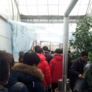 보경농장 이미지